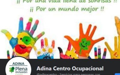 Colaboración ADINA y el IES