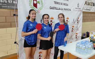 Campeonato regional de pin pon