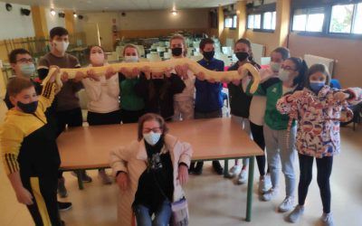 Taller de reptiles para 1º ESO