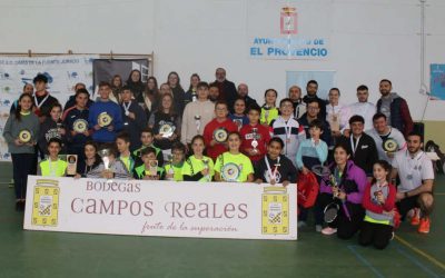 VIII ProvenFray de bádminton