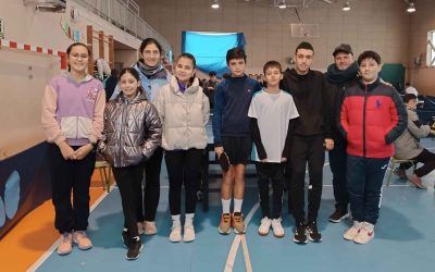 Campeonato provincial de Pin Pon