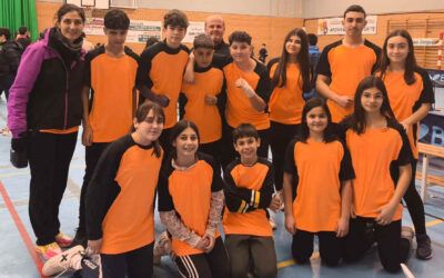 Campeonato Provincial de Pin Pon