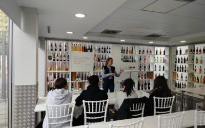 VISITA AL MUSEO TORRE DEL VINO