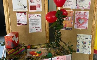 VENTA DE JABONES EN EL FRAY LUIS