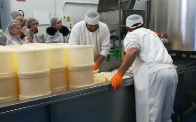 Los alumnos del Ciclo de Comercio visitan la quesería «La Aldea»