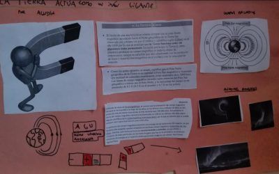 Sabías qué…? Exposición realizada por 2º ESO