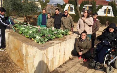 Los alumnos del PGJ plantan en el patio  coles decorativas