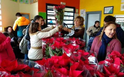 El IES Fray Luis ha celebrado el Día de la Discapacidad
