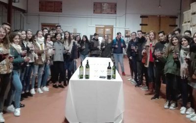 Viaje al Observatorio Astronómico de la Hita y bodegas El Vínculo