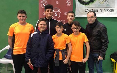 Fase provincial de ping-pong
